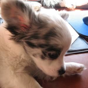 Meet your Posher, Donalda